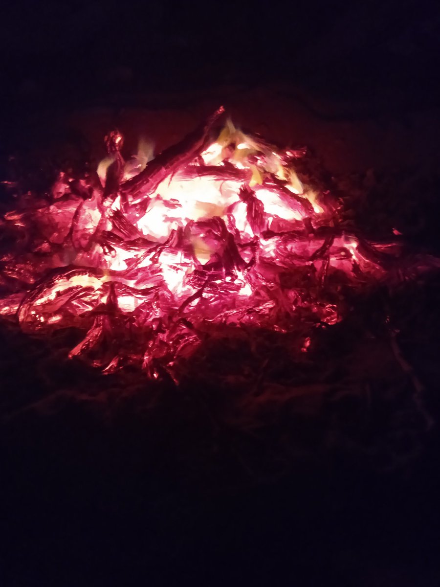 كاين بعض العباد كي تشوف الفاتشا تاعه تعرف بلي عنده مخ حمار حاشا البهائم الي ما تستاهل