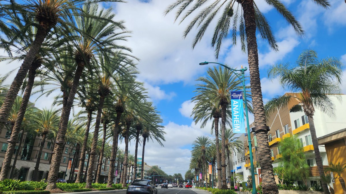 Day 1 at YCS Anaheim 🌴