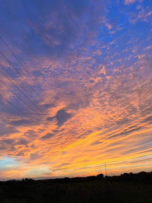 textospace's tweet photo. el cielo es muy terapéutico https://t.co/pYmdRcd0Eb