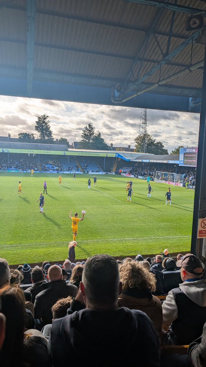 Andrew Strutt tweet media