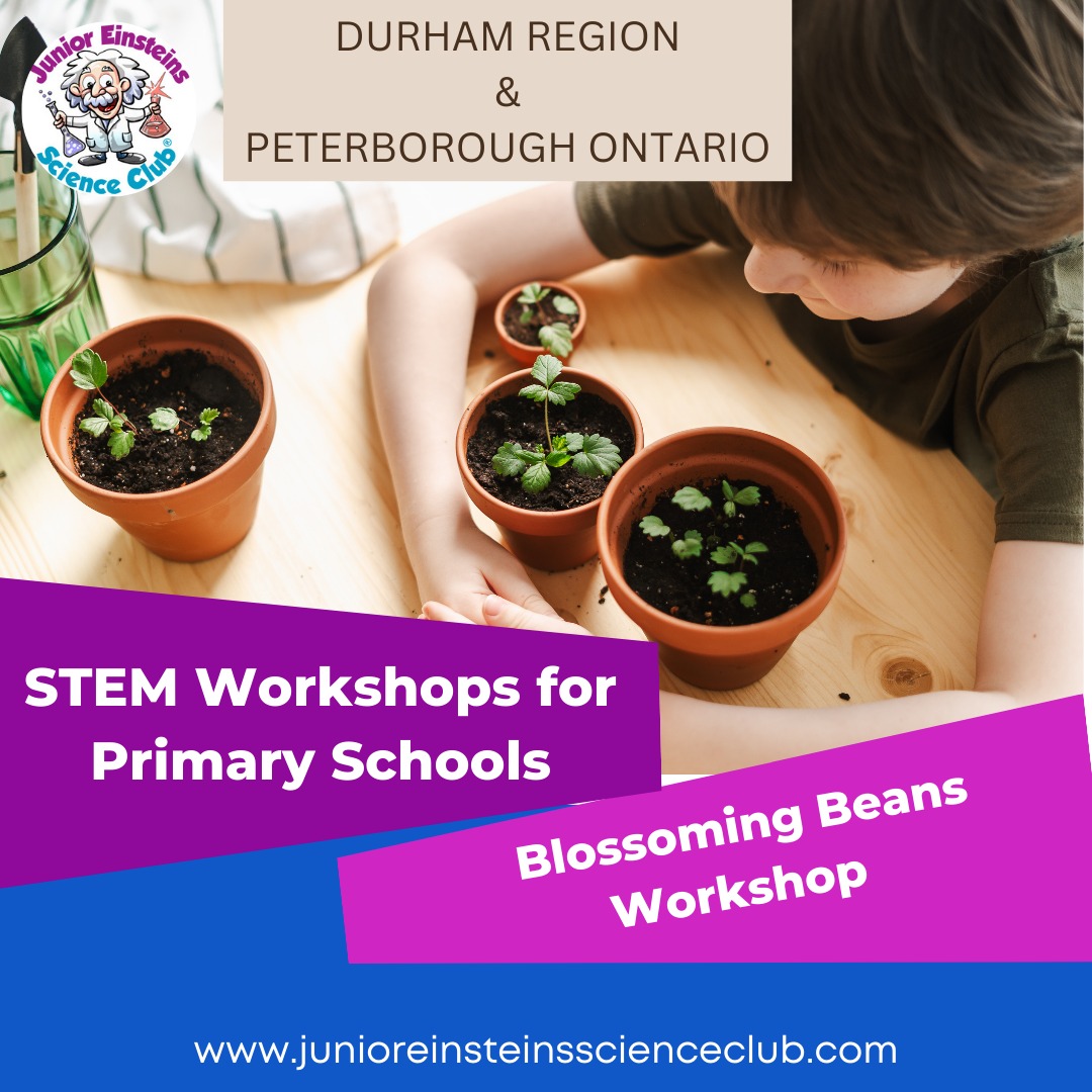 JEontario's tweet image. School Science Shows and STEM Workshops Something different for your &apos;Junior Einsteins&apos;. 

#scienceweek #schoolevent #junioreinsteins #kids #schools #teachers #STEM #science #DurhamRegionEvents #OshawaEvents #PeterboroughOntario #markhamontario 

@JuniorEinsteins
@JEontario