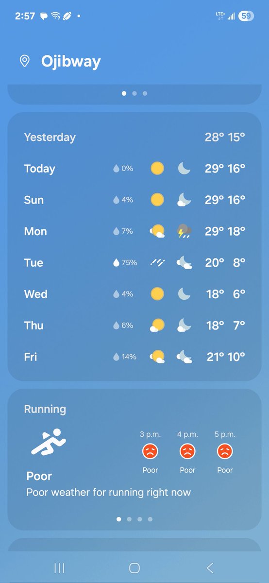 Simardtweets1's tweet image. Indian summer is here. #Windsor