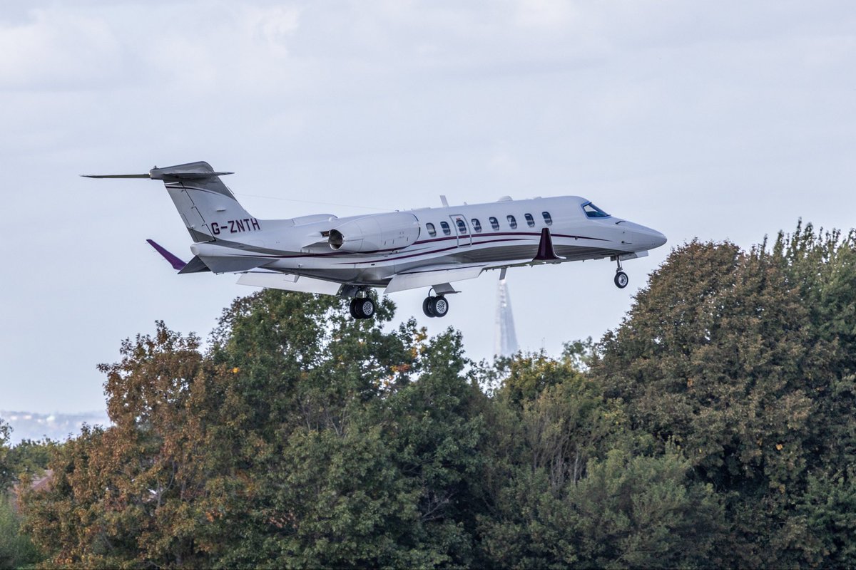 Jamie 🛩️ tweet media