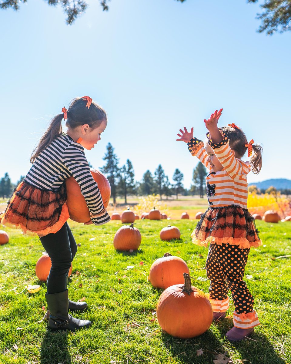 SunriverResort tweet media