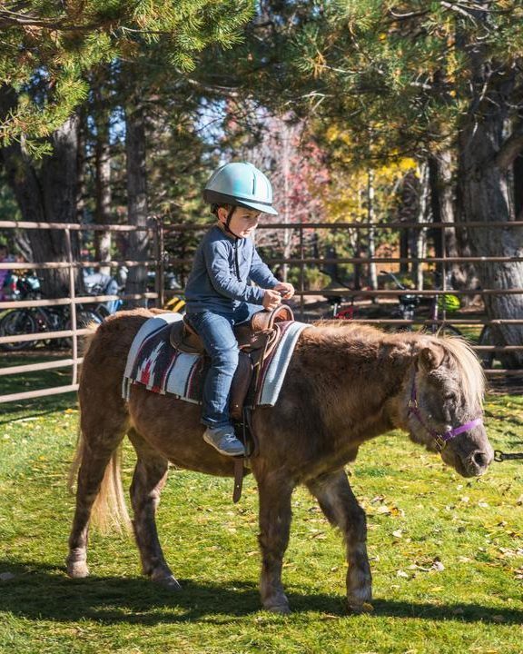 SunriverResort tweet media