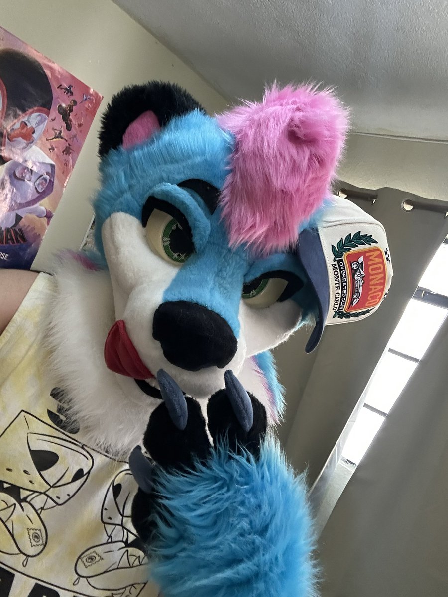 It’s been so long since I posted something here 
Adore my Monaco 🧢 
Late #FursuitFriday