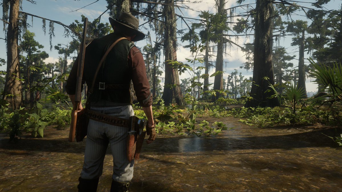 Swamp Rdr2 Collage Virtual Horizons (@Wirtualhorizons) / Posts / X