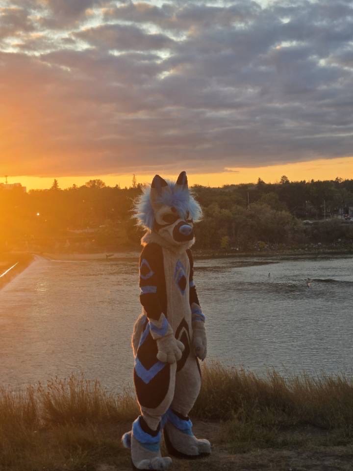 Halon332's tweet image. Little public suiting 

Wanna do it again