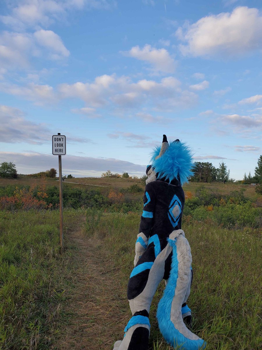 Halon332's tweet image. Little public suiting 

Wanna do it again