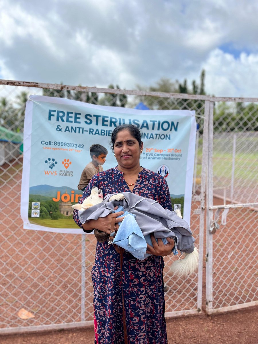 PrakashWKamatPK's tweet photo. Goa Animal Federation(GAF) reports:
Ponda Sterilisation Camp Achieves Milestone 240 Surgeries in First Week*,reveals Dr. Stacy Sequeira Director for WVS HICKS ITC (@WVScharity,India) on Saturday evening. 
The first week of the dog and cat sterilisation and vaccination camp at Goa KVS Ground, Ponda, has concluded with 240 dogs sterilised, a significant milestone achieved despite continuous rains and tough working conditions. 

The camp was inaugurated on 29th Sep Monday, by Shri Ravi Naik (Minister of Agriculture) and Shri. Nilkanth Halarnkar @NilkantHalarnk1 (Minister of Animal Husbandry and Fisheries) formally launched the initiative.

The camp has witnessed strong community response, with locals from in and around Ponda bringing in both pets and community dogs for free sterilisation and Anti Rabies Vaccination. 

"We at World Veterinary Services(WVS) and Mission Rabies(MR) @MissionRabies feel this indicates growing recognition of sterilisation and vaccination as humane, scientific long-term solutions for controlling dog populations and reducing bite incidents," says Dr. Sequeira.

The camp is being run by a 30 member team, including 2 dog catching teams, a camp supervisor, a helpline operator, veterinary assistants and animal handlers and just two veterinarians, who together carried out 240 surgeries in the span of seven days.

Despite being set up in late September during unseasonal heavy showers, the team established an efficiently designed 360° fenced, hygienic and safe temporary facility. The site features a German hangar tent and 6 pagoda/army tents which house, a reception, a kennel holding area with 105 kennels, a surgical preparation unit with autoclave and cold storage, a fully operational operating theatre, and designated cooking, cleaning, dining and waiting spaces.

The camp’s early success reflects not only the dedication of the team but also the increasing public willingness to engage in humane solutions for animal welfare and community health. 

"With a target of 1000 sterilisations by 31st October, we call on the community to continue showing their support by bringing in pets and community dogs for sterilisation and vaccination, said Dr.Sequeira, adding, "The success of this initiative depends on sustained participation, ensuring a safer and kinder future for both animals and people".(eom)
@SachiRupaliK @GoaHumaneTrust @TheViditsharma @joedelhi @RohitMonserrate @VijaiSardesai @kbdessai @Coll_SouthGoa @spsouthgoa @Varsha270819 @GaureeM_TOI @BasavarajMaled @avelinodesa @Goa_edu @tajmahalfoxtrot @tawf_uk @goadisability @DHS_Goa @PetaIndia @asharmeet02 @VishvavNaik @SPTrafficGoa @DexterBraganza @chicathechih @GraciesWorld3