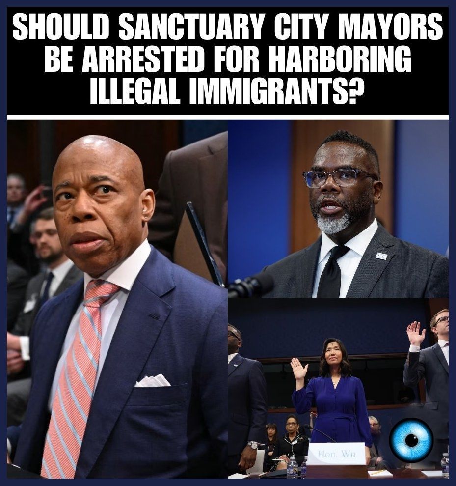 Commentary 🇺🇸 Tom Homan tweet media