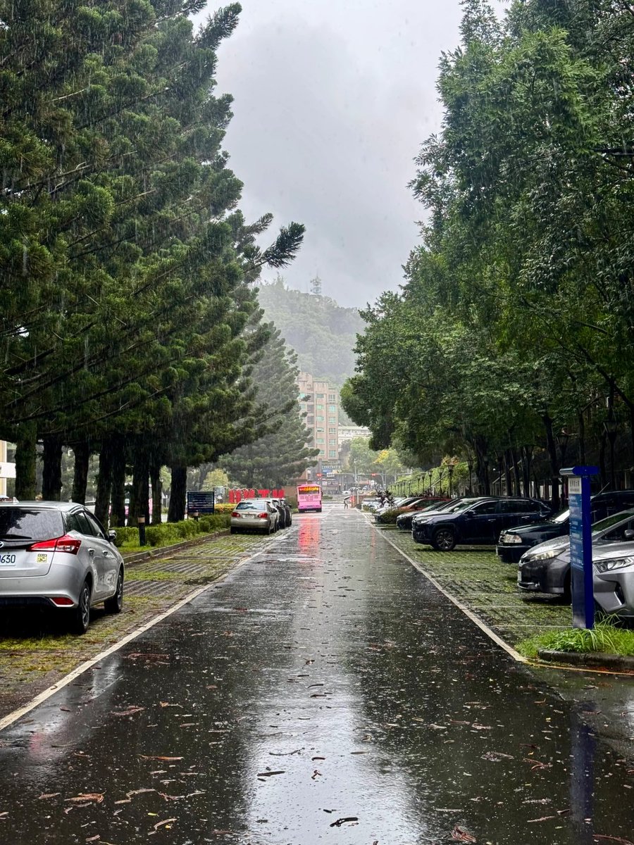 afchz_aa's tweet photo. 台北の昼と夜 台北では大雨が降ることが多い https://t.co/wv5EKjLDmZ