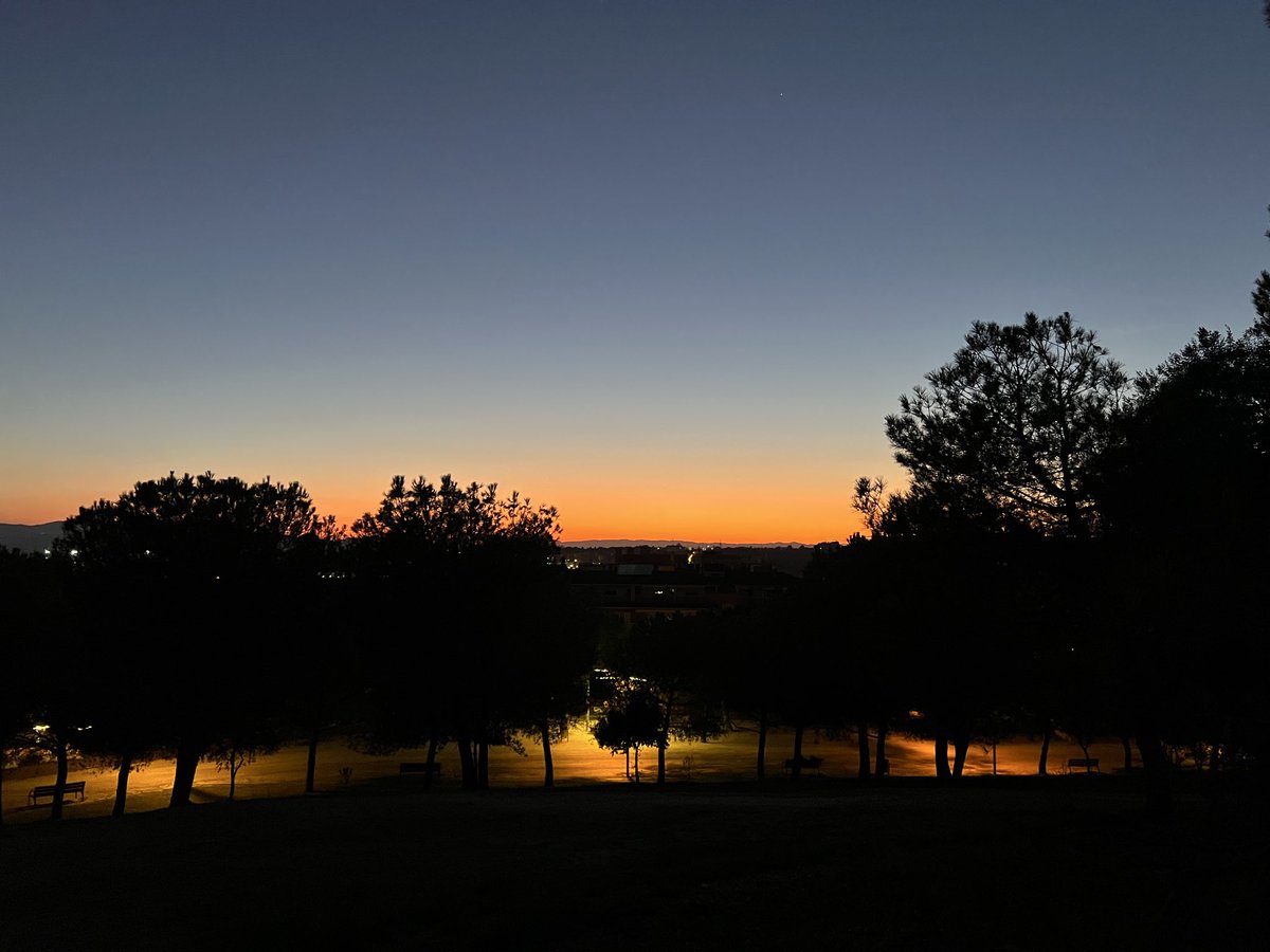 alba 🌙 tweet media