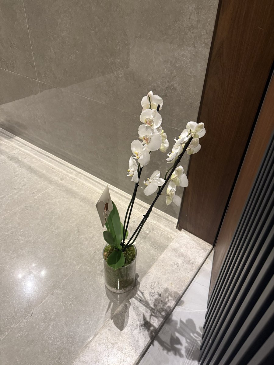 مفآجات يوم الميلاد❤️