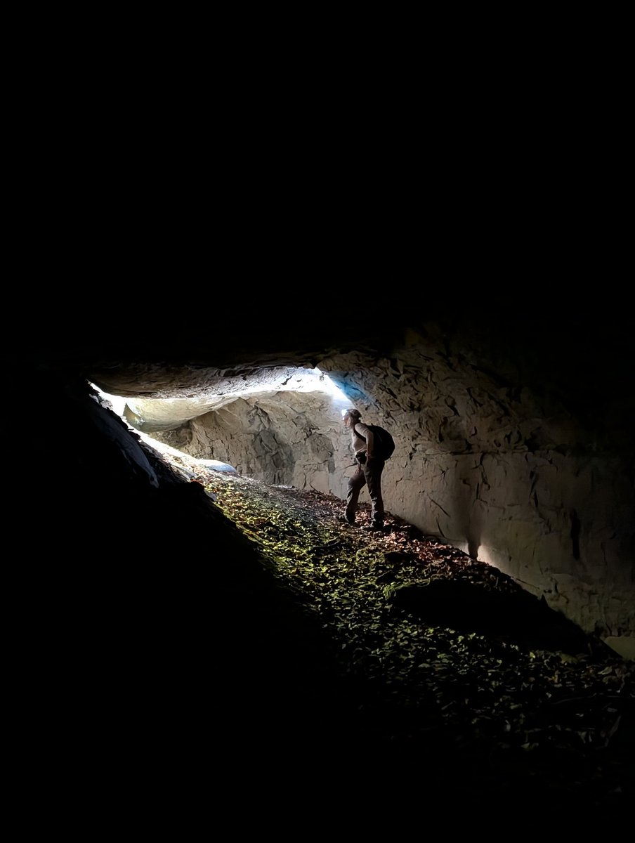 Grup Mineralògic Cat tweet media