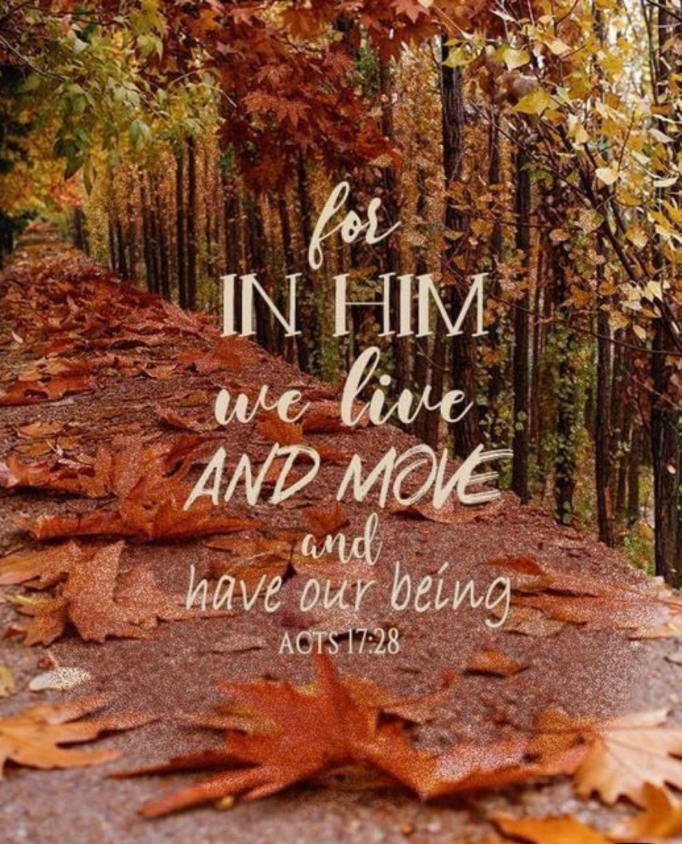 Dragonslayerma7's tweet image. Just loving the fall weather and praising God for the season change. How’s the weather where you are?