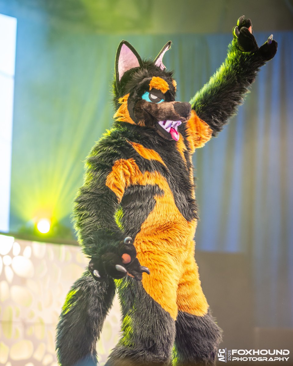 "We're goin' up, up, up, it's our moment
You know together we're glowing
Gonna be, gonna be golden!"
📷: <a href="/yukonbarksalot/">Yukon 🐺 Arvo 🦊</a> 

#AFC2025 #fursuit #fursuiting #fursuitfriday
