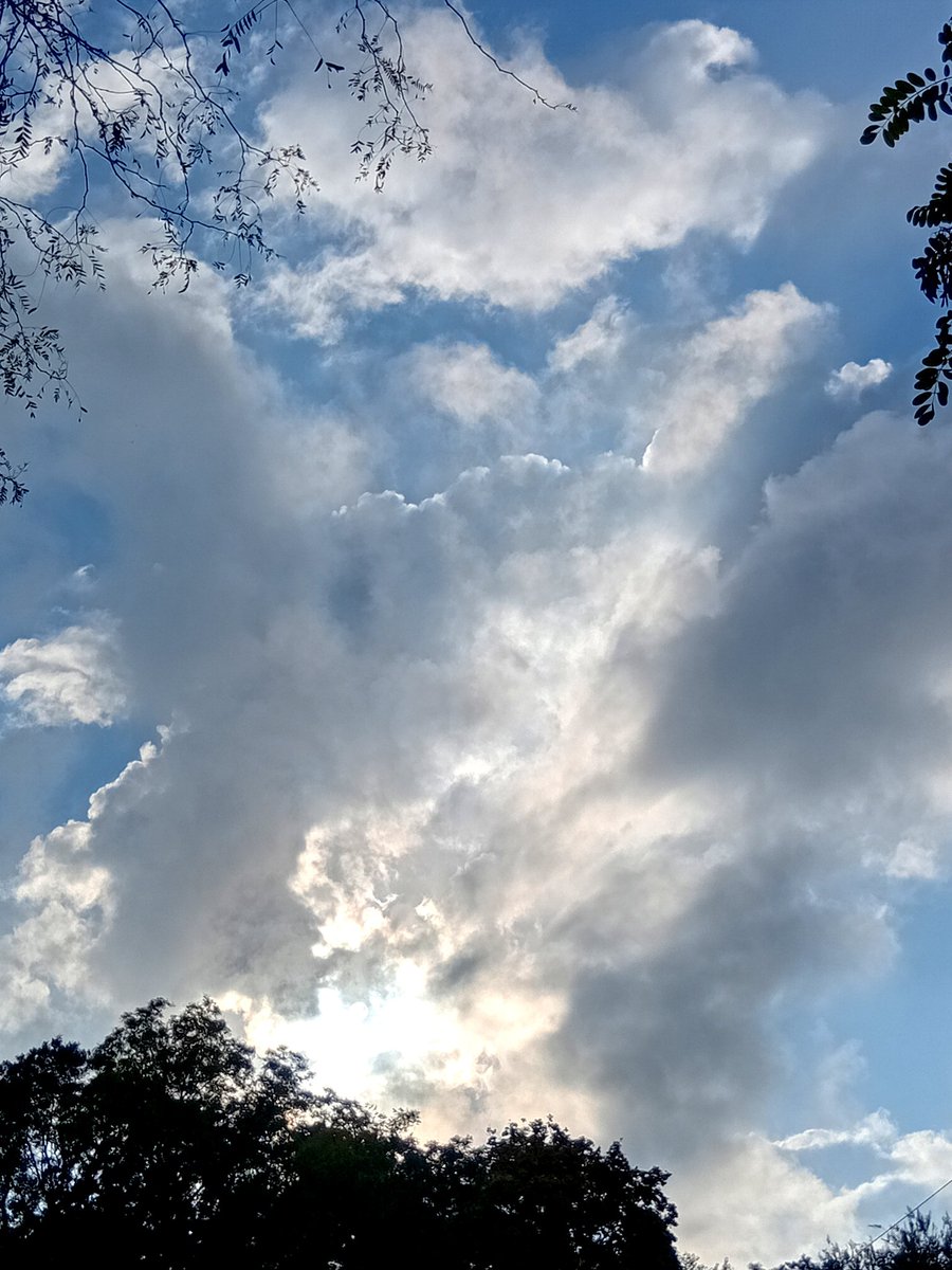 Катерина Галич tweet media