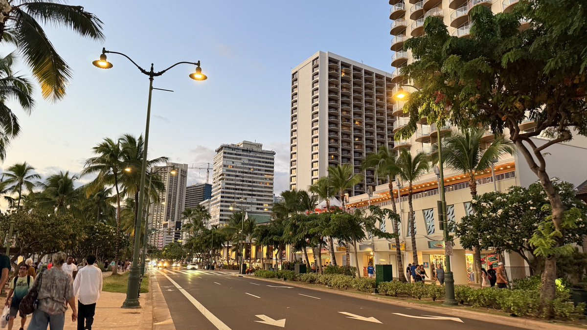hawaii isla 808 tweet media