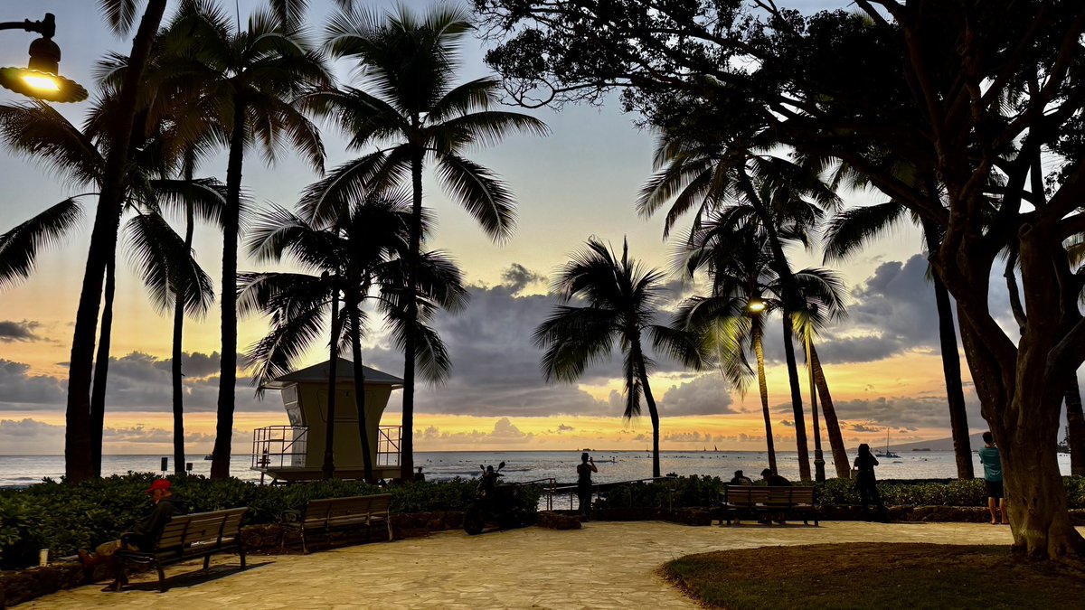 hawaii isla 808 tweet media