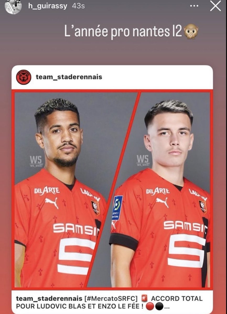 Malgré tout moi j'ai vu quelque progression dans le jeu collectif aujourd'hui. Malheureusement c'est encore par intermittence... Mais Guirassy faut me le dégager c'est plus possible (et pas de deuxième chance avec lui)