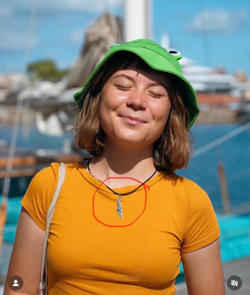 🚨🚨🚨BREAKING:

Greta Thunberg is a Zionist and a secret Mossad Agent. She bravely sailed to Gaza to expose almost 500 Hamas supporters on a mission funded entirely by Hamas. Thank you, Agent Greta.