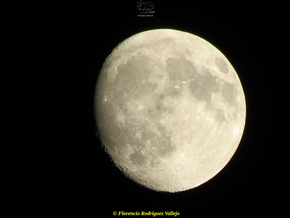MartiagoNatural's tweet photo. Noche internacional de observación de la Luna: https://t.co/KqDyOrzBBC