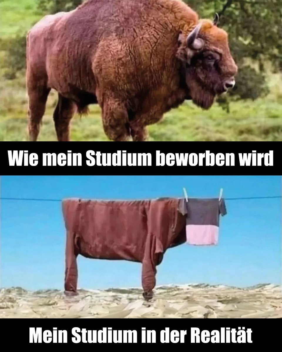 Studienscheiss's tweet image. Leider auf den zweiten Blick nicht mehr sooo toll 🥲