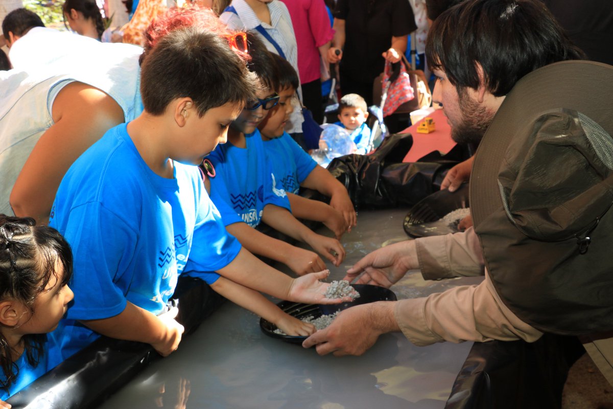 SoyUnison's tweet photo. Chicos y grandes se divierten y aprenden en el Rally de la Niñez Científica y Expo Profesiones STEM, actividad realizada por la comunidad universitaria y en la cual los niños recibieron playeras por parte de la institución. https://t.co/ZSdNXN8WBy