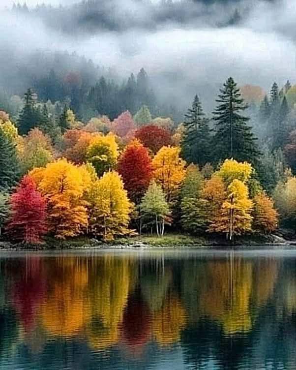 ......... 

İçinde kırıklar varken
Dışarıya sağlam görünmek
Ağır bir imtihandır...🖤

Ⓜ️........