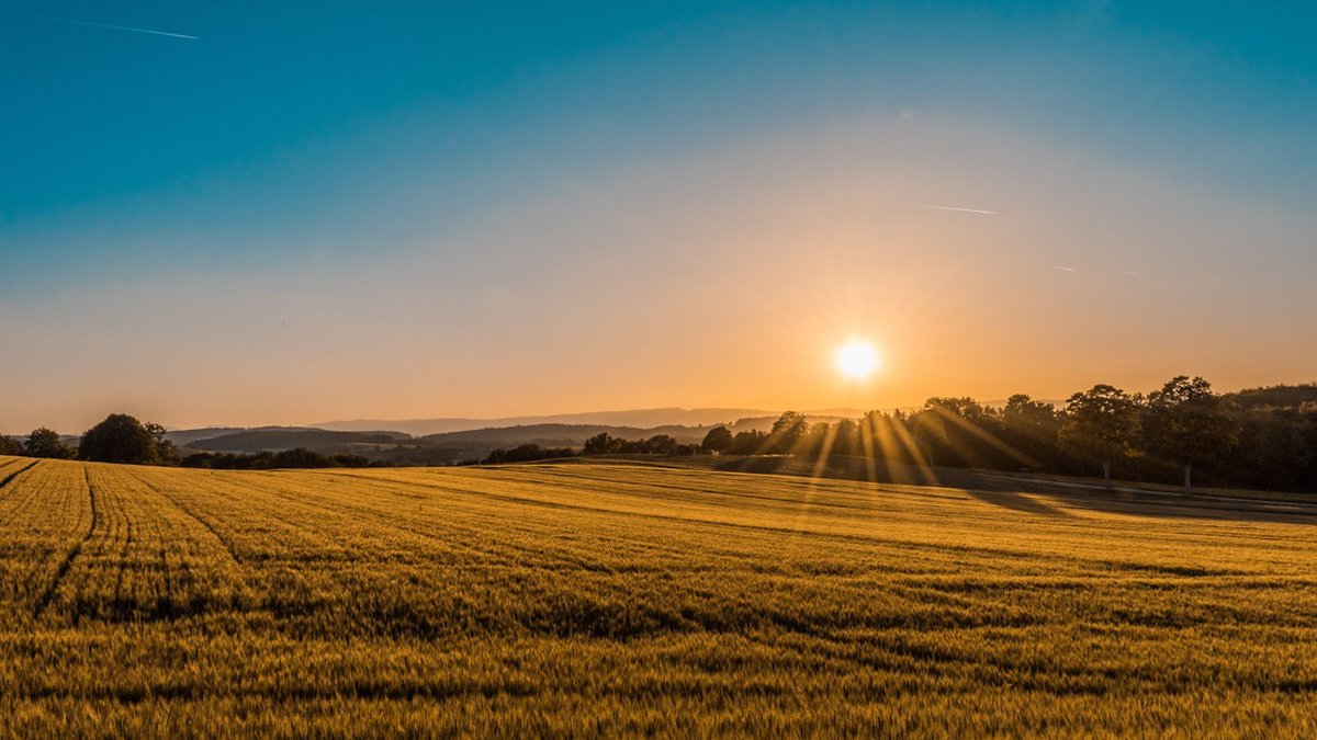 etherisc's tweet image. ✨ Weekend Insight ✨
Comfort is knowing your yield is covered. Through our partnership with @eSusFarm_Africa & AIC, Etherisc delivers parametric crop insurance to 50,000 Ugandan farmers — so when climate shocks hit, they recover faster, not later.
blog.etherisc.com/etherisc-esusf……