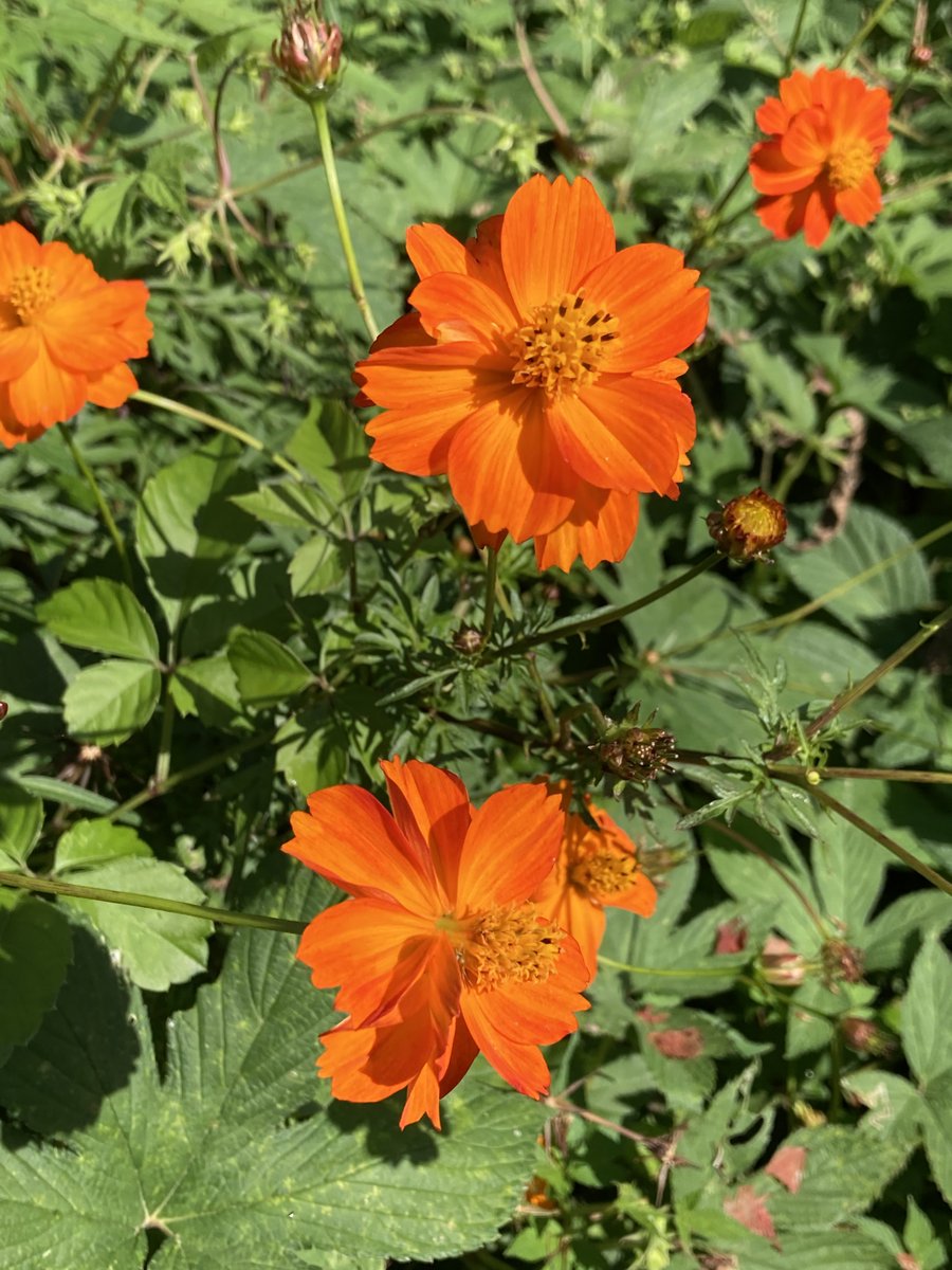 いっち様【ご連絡用】 いっちー様 リクエスト 3点 まとめ商品 - メルカリ