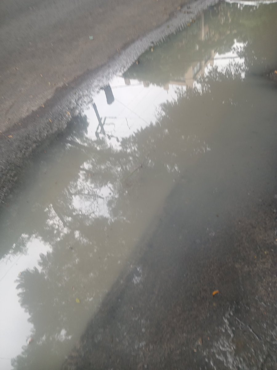 GusCast1's tweet photo. @AccionesBJ @BJAlcaldia @LuisMendozaBJ Buen día. Nos pueden apoyar en desazolvar coladeras, el agua está estancada y olor feo, en Concepción Beistegui #1352 esquina pitagoras colonia Narvarte poniente.gracias https://t.co/8bAhjyea2b
