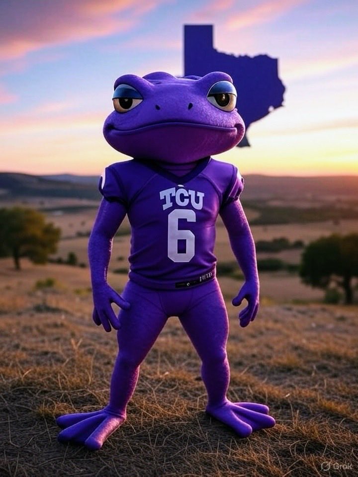 cwebbtk2h's tweet image. Texas weather is football weather.#TCU football#Go Frogs