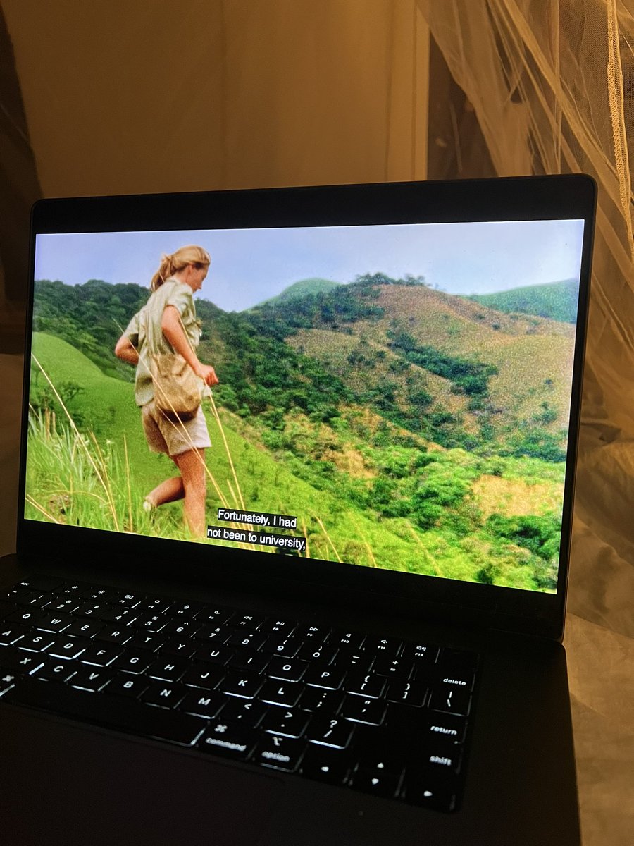 Jane Goodall: “In the early 1960s, It was held by many scientists that only humans had minds. […] Fortunately, I had not been to university, and I did not know these things.”