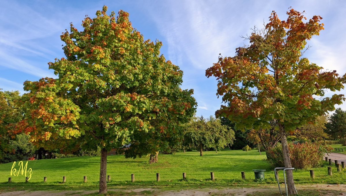 Sunday will be the Birthday of my daughter 🎂, born the same month as me, for an autumn day colored with love 🥰💐🌳🍁👭❤️ #HappyBirthday #love #family #Autumn #sundayvibes #StormHour #NatureBeauty