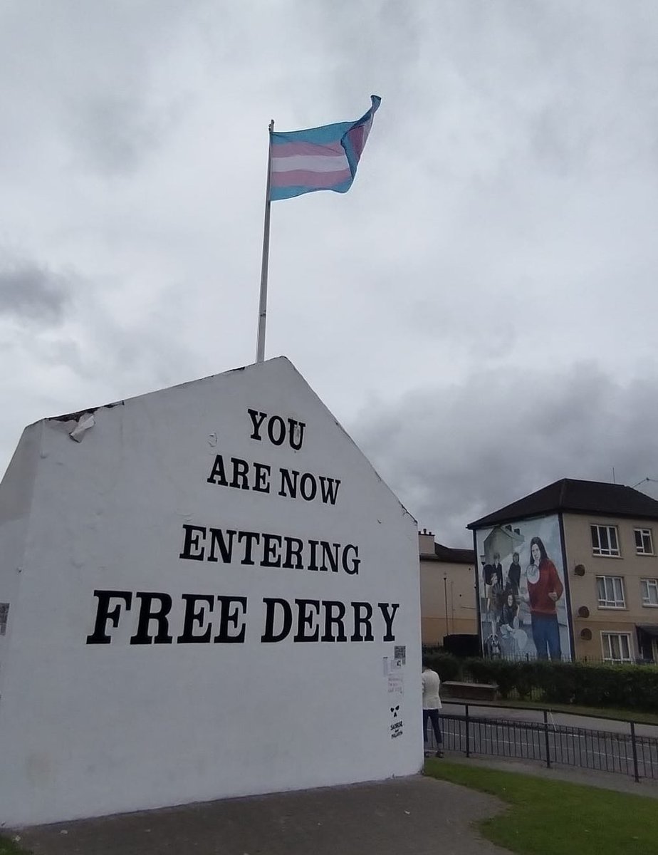 🇮🇪🏳️‍⚧️