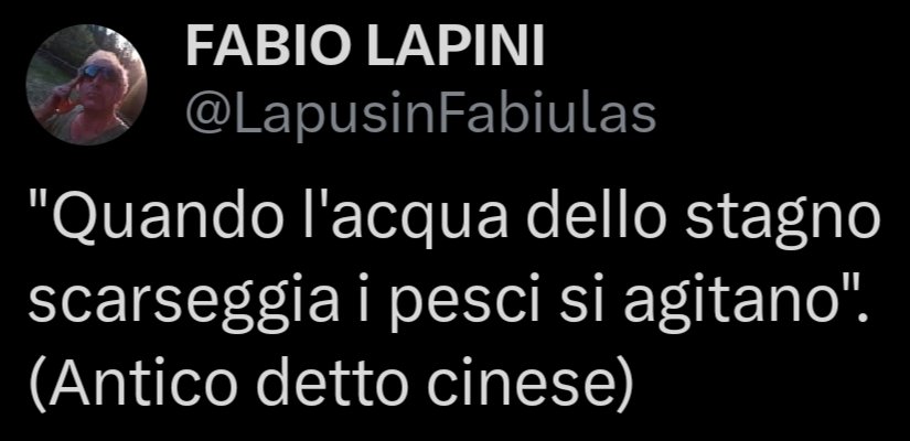 FABIO LAPINI (@lapusinfabiulas) on Twitter photo 