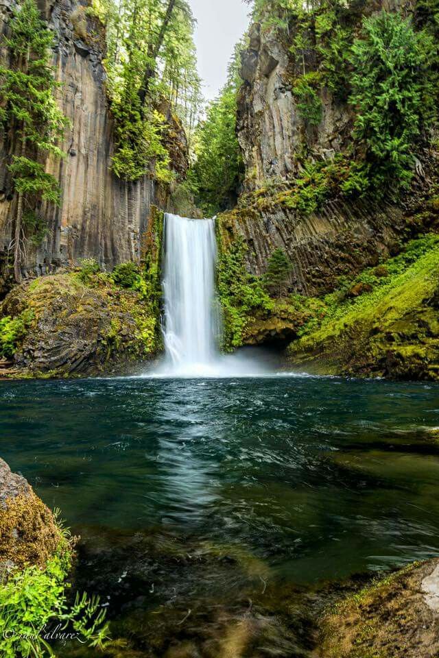 Amazing views 😍 (@naturaleye78321) on Twitter photo 