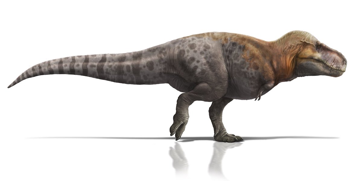 Named 120 years ago today. 
Tyrannosaurs rex.