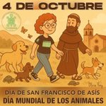 Photo by TurDogs Adopción y difusión México (@TurDogs)