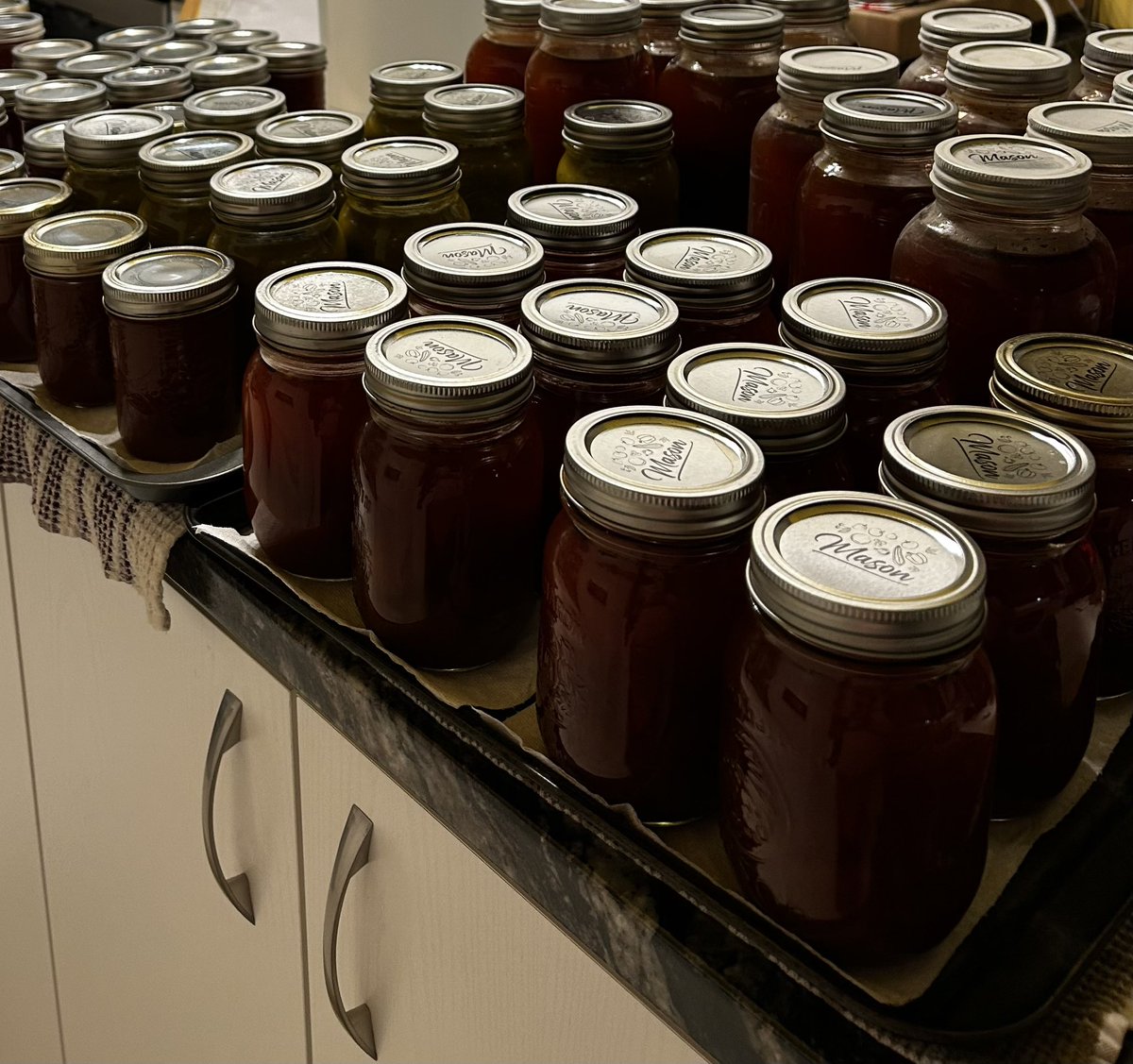 Spent the last three weeks helping my sis-in-law canning all kinds of stuff 😜 

Peeled and cut 70lb of potatoes, 35lb of carrots and some 40lb of other vegetables 🟰 277 jars of soup, sauces and vegetables 🤪

I don’t want to see potatoes or carrots for at least a month 🤣😂😅