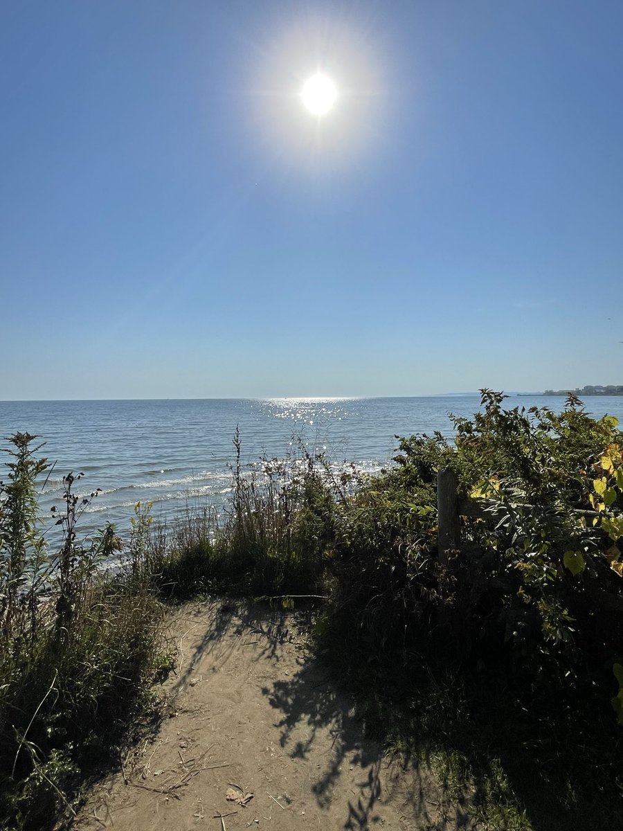Eikichi133's tweet photo. Had to get my daily walk out of the way before 4pm. Let’s Go Blue Jays! #exploreajax https://t.co/WhuG2sOkUN