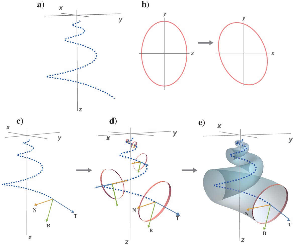 DiversityMDPI's tweet image. 🔍A Mathematical Model for Mollusc Shells Based on Parametric Surfaces and the Construction of Theoretical Morphospaces by  Gabriela Contreras-Figueroa et al.

Please read more: mdpi.com/1424-2818/15/3…

#Biomathematics #Morphometrics #Malacology #EvolutionaryBiology