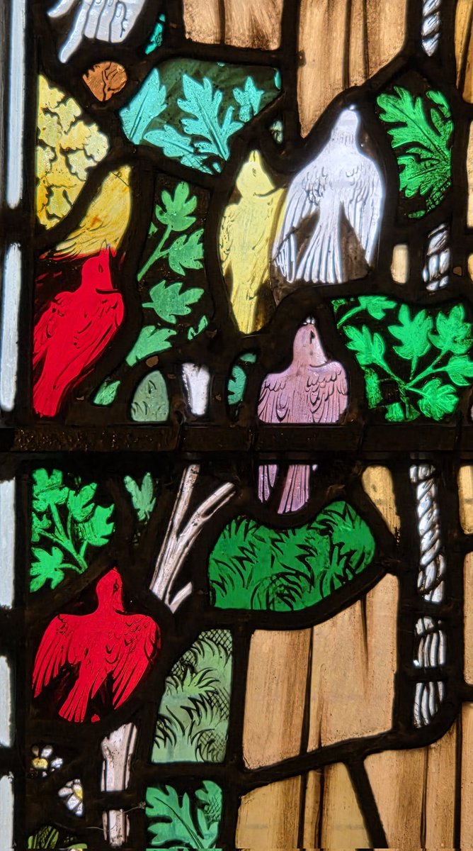 bcdyingmuseum's tweet image. Saint Francis and the birds..

St Francis for his feast day at St James church Blakedown, by James Hogan for Powell and Sons.

#stfrancisofassisi #stfrancis #powellandsons  #stainedglass