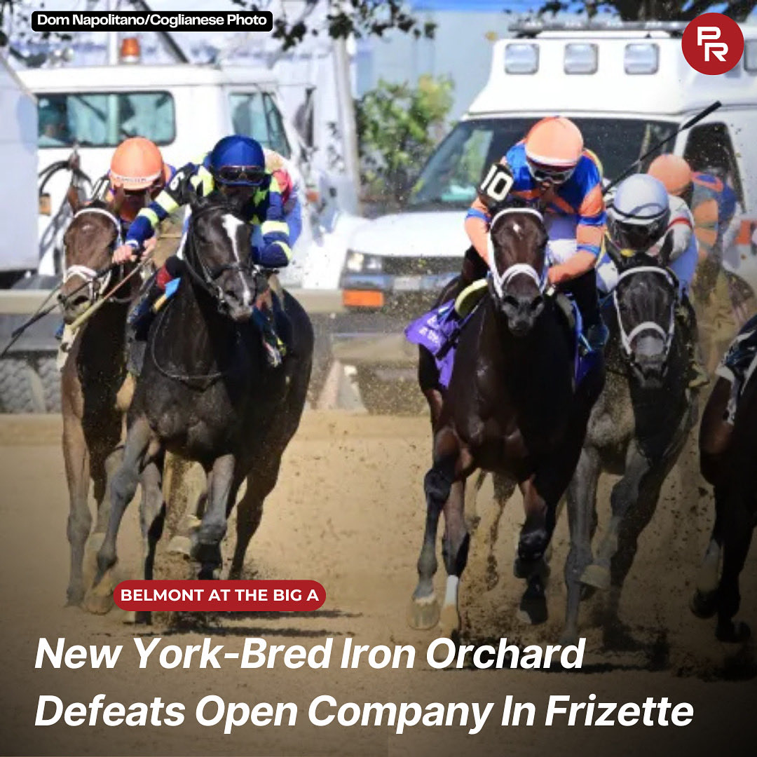 Paulick Report (@paulickreport) on Twitter photo CSLR Racing Partners and R.A. Hill Stable’s New York-bred filly Iron Orchard is now undefeated in three starts after capturing the Grade 1 Frizette by a nose on Saturday at Aqueduct.
More here ⬇️⬇️
tinyurl.com/5n8k5fbv CSLR Racing Partners and R.A. Hill Stable’s New York-bred filly Iron Orchard is now undefeated in three starts after capturing the Grade 1 Frizette by a nose on Saturday at Aqueduct.
More here ⬇️⬇️
tinyurl.com/5n8k5fbv