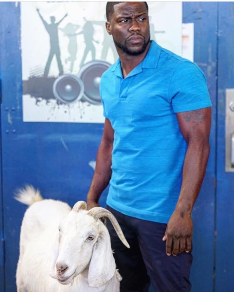Experxment's tweet photo. @ParasiticEager2 you’re goat https://t.co/9Gx6vm5cP5