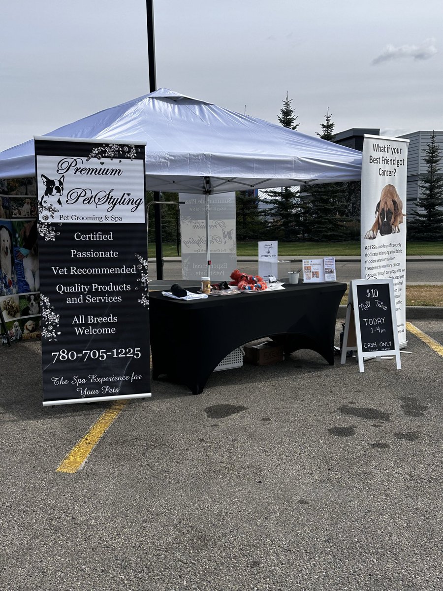 StylingPet's tweet photo. COME SAY HI 👋🏻 
#yeg #edmonton #edmontonpets https://t.co/xWgU8M8iQK