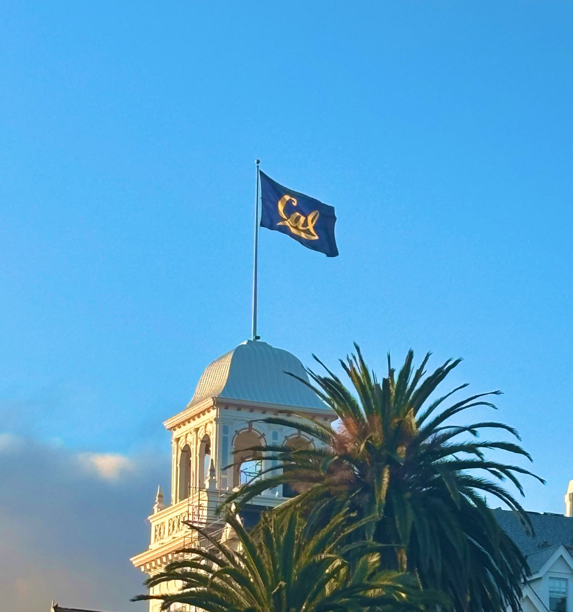 anna_grizzell's tweet image. Great day to be a bear. Go Cal. #SmartAndTough #GoBears #CalFootball