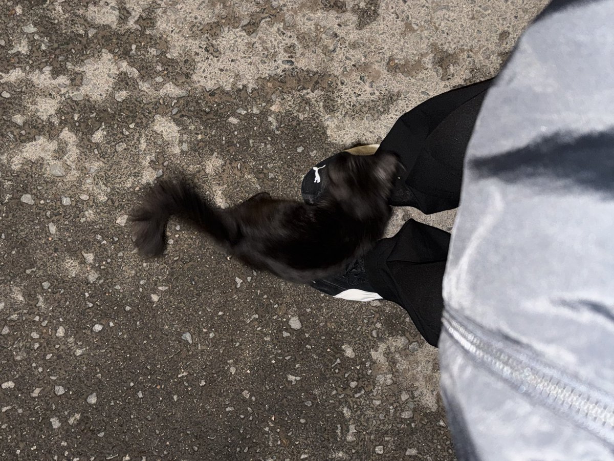 sadsadsadasd tweet media